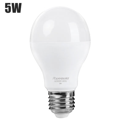 Rayyou E27 5W 450LM AC 220V 5730 LED Light Globe Shaped Bulb - goldylify.com