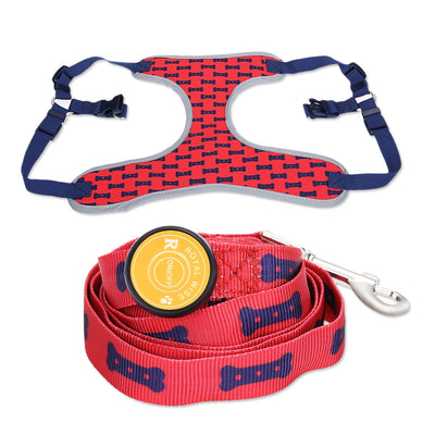Royal Wise R Dog LED Lights Illuminating Adjustable Collar Harness Leash for Training Walking Running - goldylify.com