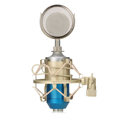 LEIHAO BM - 8000 Professional Sound Studio Recording Condenser Microphone - goldylify.com