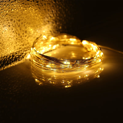 50 LEDs / 100 LEDs / 200 LEDs 8 Function Mode Copper Wire String Light - goldylify.com