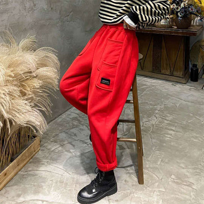 Autumn Winter New Arts Style Women Elastic Waist Thicken Warm Harem Pants All-matched Casual Ankle-length Loose Pants V505