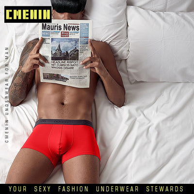 Sexy Gay Men Underwear Boxers Cueca Male Panties Boxer Shorts Men Underpants Breathable Pure Cotton Plus Size Under Wear AD304 - goldylify.com